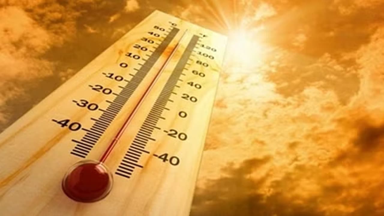 Muzaffarpur Weather: 40 पर पहुंचा दिन का पारा, जानें कितनी डिग्री सेल्सियस और बढ़ेगा तापमान 