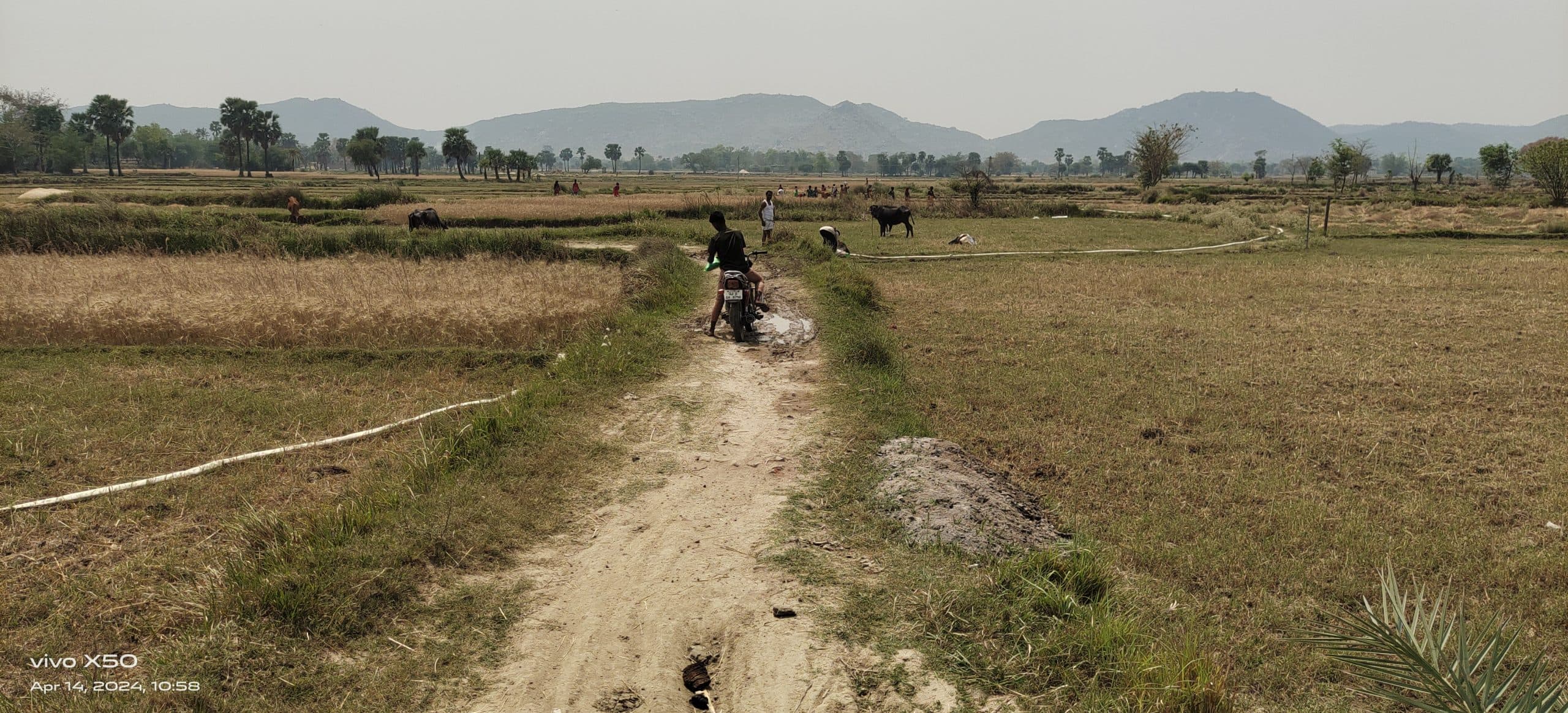 चुनावी शोरगुल से कोसों दूर हैं बिहार के ये गांव, वोट मांगने तक के लिए नहीं पहुंचते नेता