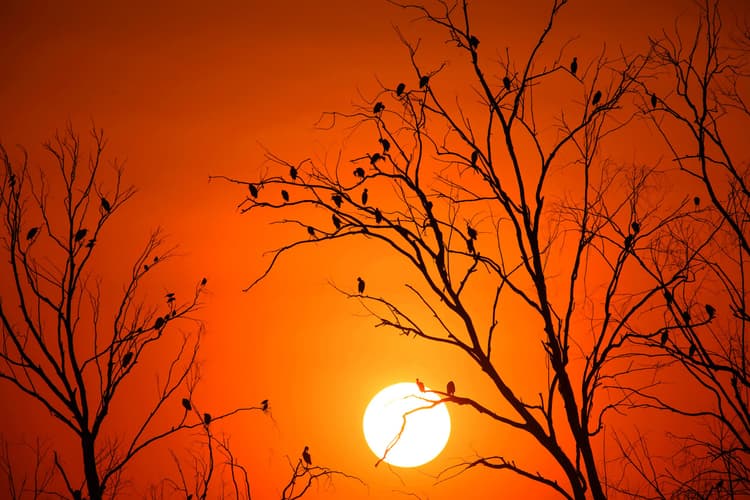 Weather Forecast: दिल्ली-एनसीआर में बारिश के आसार, जानें झारखंड-बिहार सहित अन्य राज्यों के मौसम का हाल