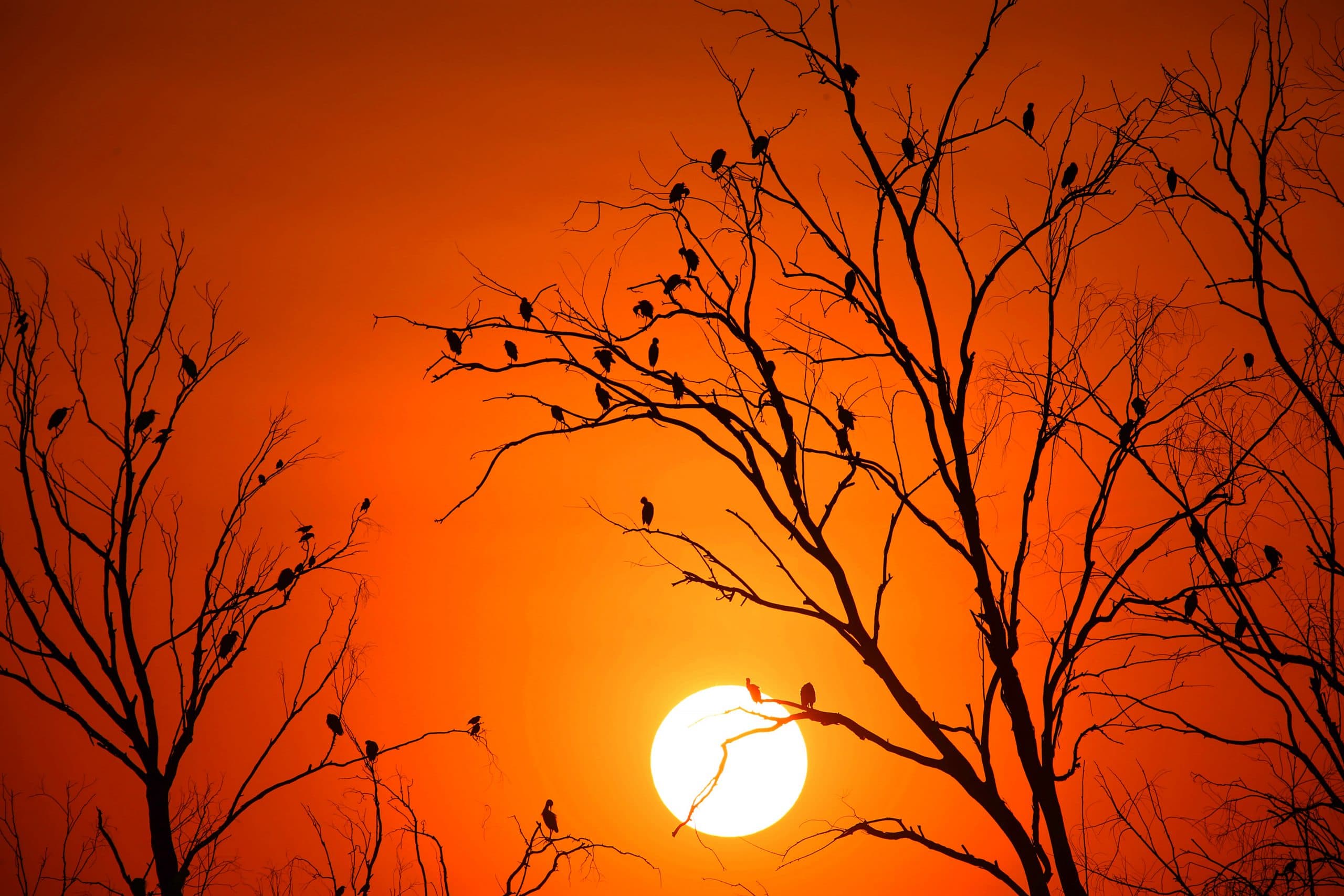 Weather Forecast: झारखंड में होगी बारिश, जानें दिल्ली-बिहार सहित अन्य राज्यों के मौसम का हाल