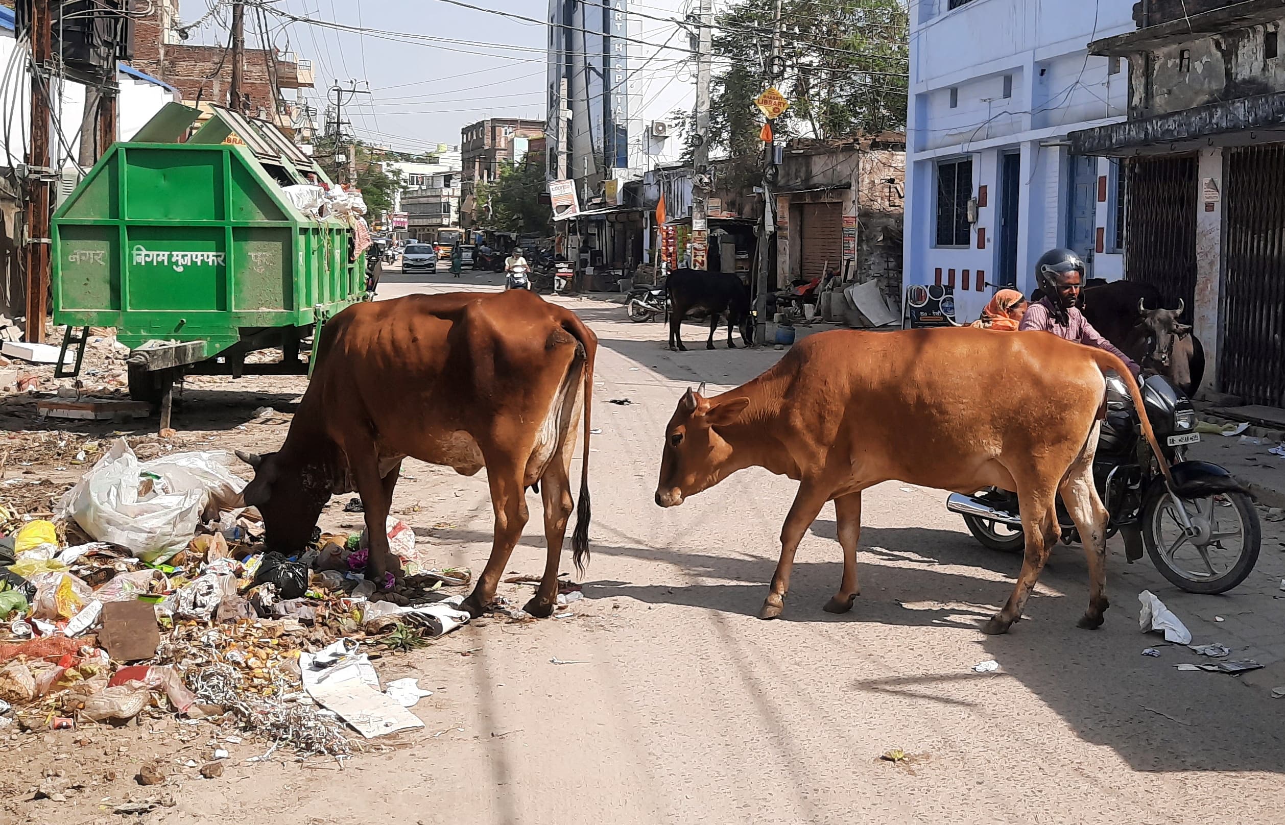 स्वच्छ सर्वेक्षण के तय मानक पर काम नहीं कर पा रहा मुजफ्फरपुर नगर निगम, अंतिम राउंड में कट जायेंगे नंबर