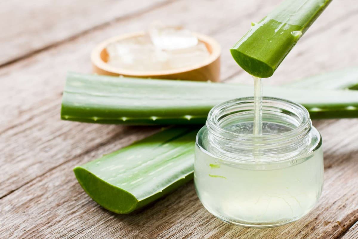 Health Tips: एलोवेरा का सेवन कर दूर करें ये गंभीर बीमारियां