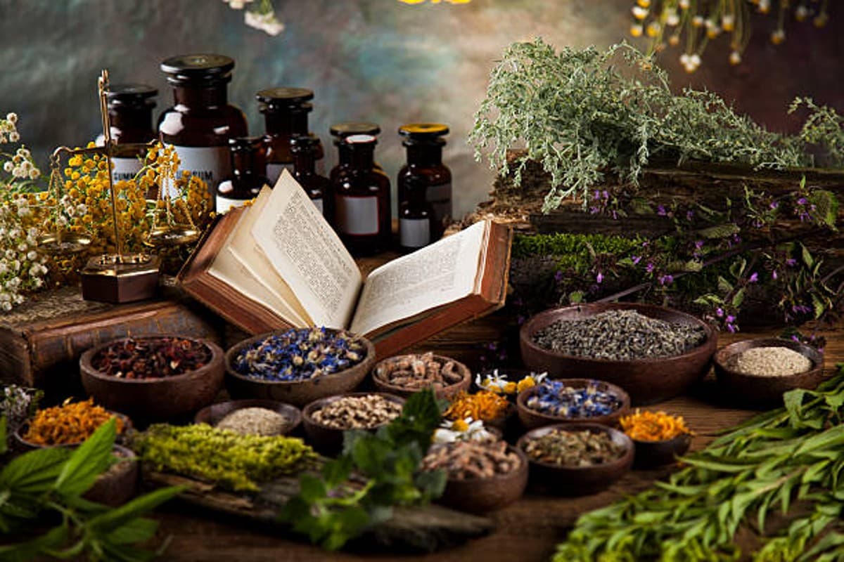 Ayurveda Weight Loss Tips: वजन कम करने में मददगार हो सकते हैं ये आयुर्वेदिक उपाय, यहां जानिए कैसे