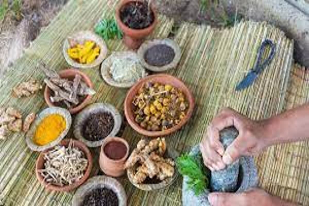 Ayurvedic Herbs For Thyroid Ayurvedic Herbs For Thyroid