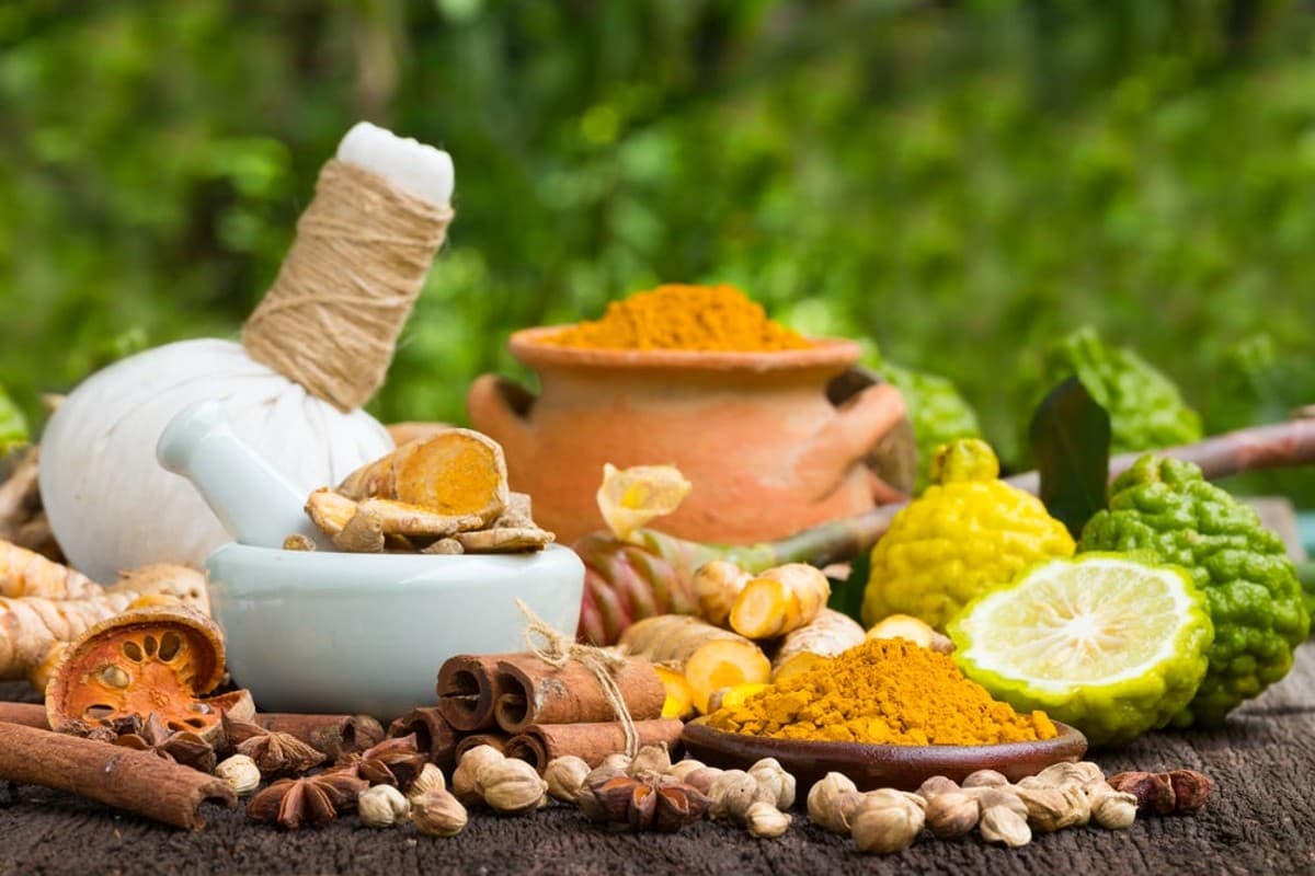 Ayurvedic Treatment Of Migraine: माइग्रेन के दर्द से हैं परेशान तो अपनाएं आचार्य बालकृष्ण के आयुर्वेदिक नुस्खे, तुरंत मिलेगी राहत