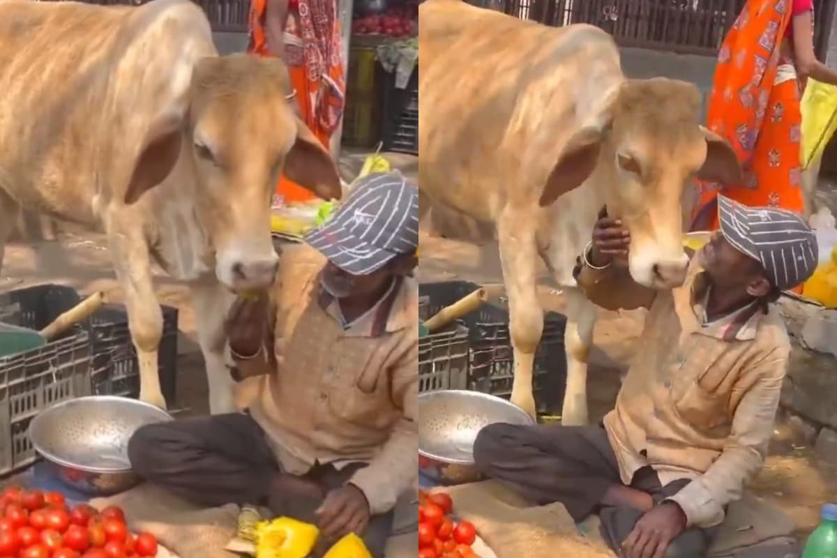 Bizarre News: एक जानवर और इंसान का ऐसा प्यार आप ने शायद ही कभी देखा होगा, देखें वीडियो