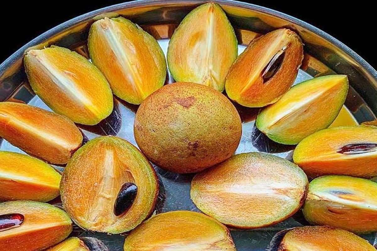 5 Health Benefits Of Chikoo: गर्मी में रोज खाएं चीकू, मिलते हैं ये 5 गजब के फायदे