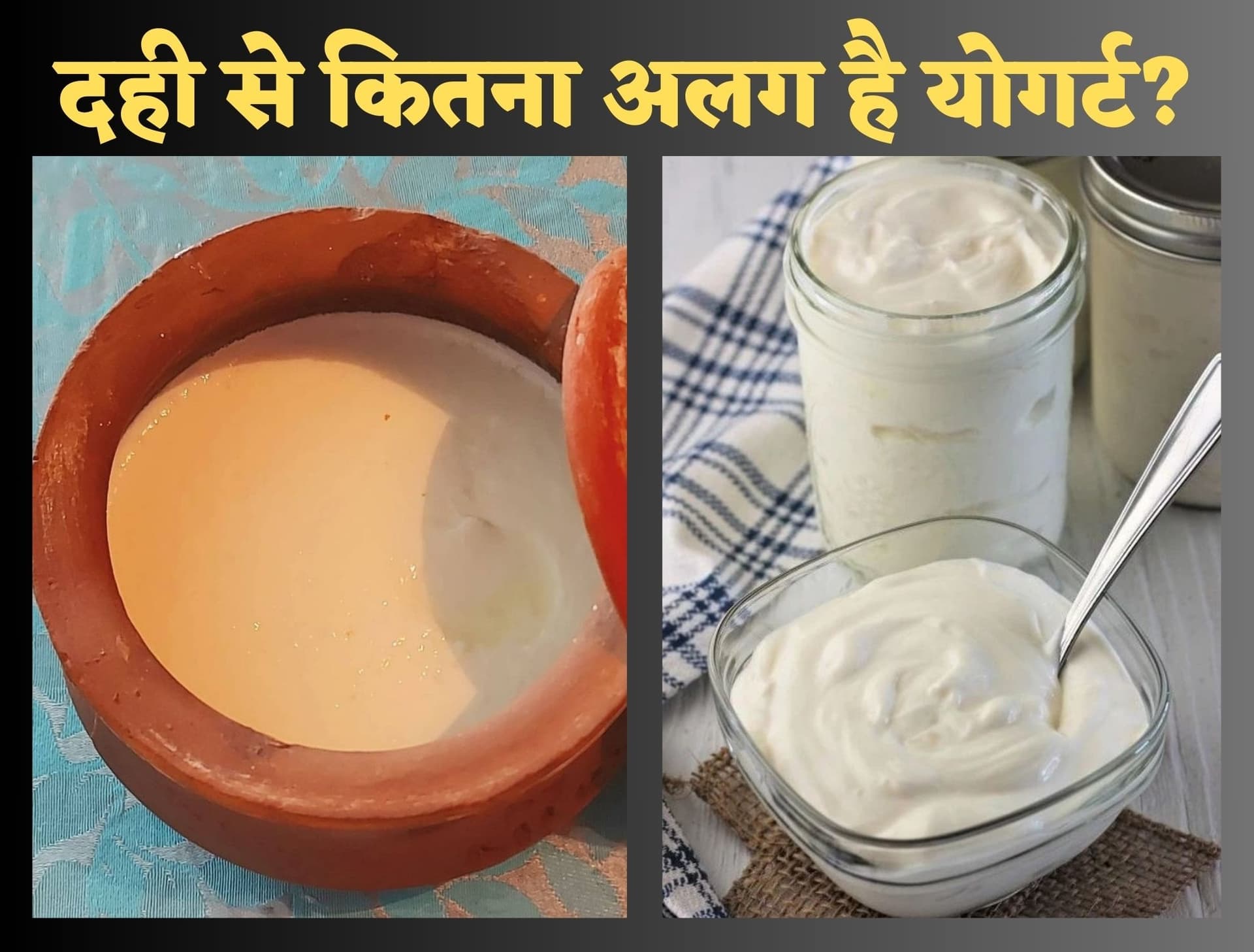 Curd and Yogurt Difference : दही से कितना अलग है योगर्ट? पोषक तत्वों के मामले में दोनों में कौन बेहतर?