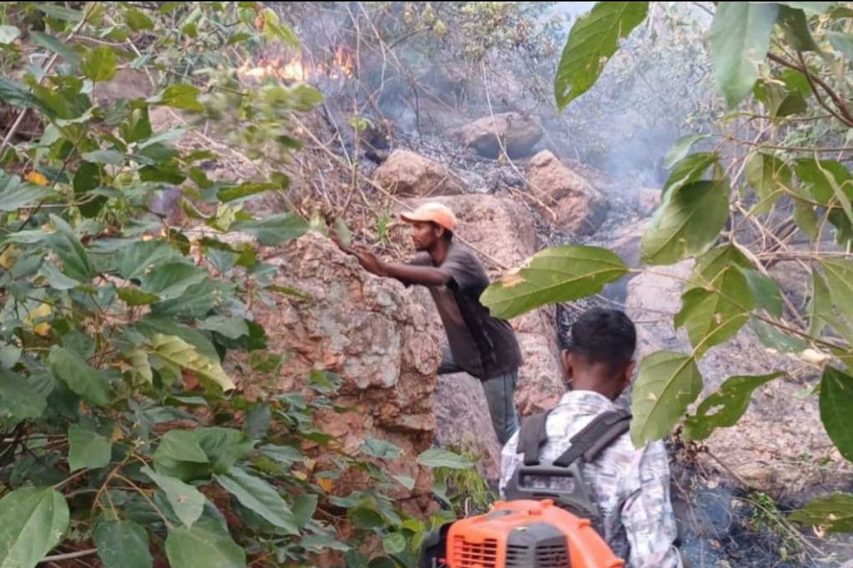 लोहरदगा के जंगलों में तेजी से फैल रही आग, आधुनिक तकनीक की मशीनों से भी नहीं बुझा पा रहे वन विभाग के कर्मचारी