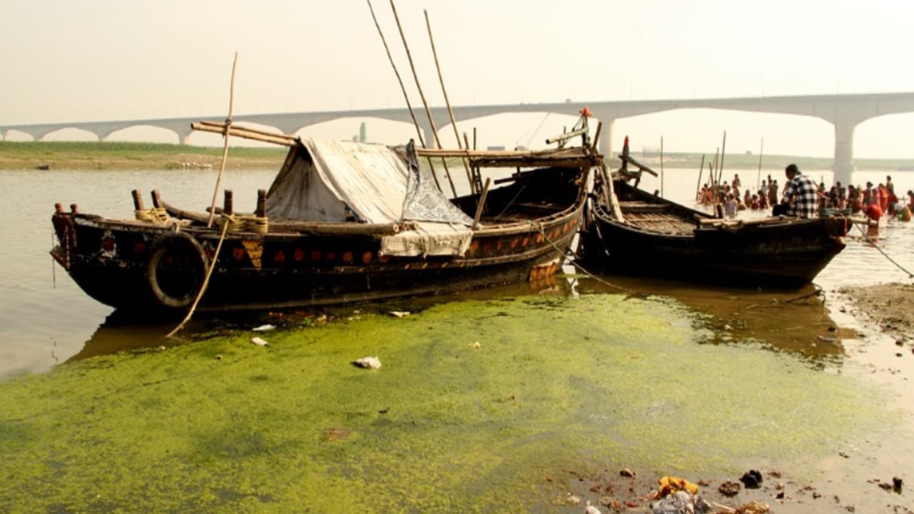 Ganga Floating Restaurant: गंगा में बनेगा तैरता रेस्टोरेंट, डॉल्फिन दर्शन के साथ व्यंजन का भी ले सकेंगे लुत्फ