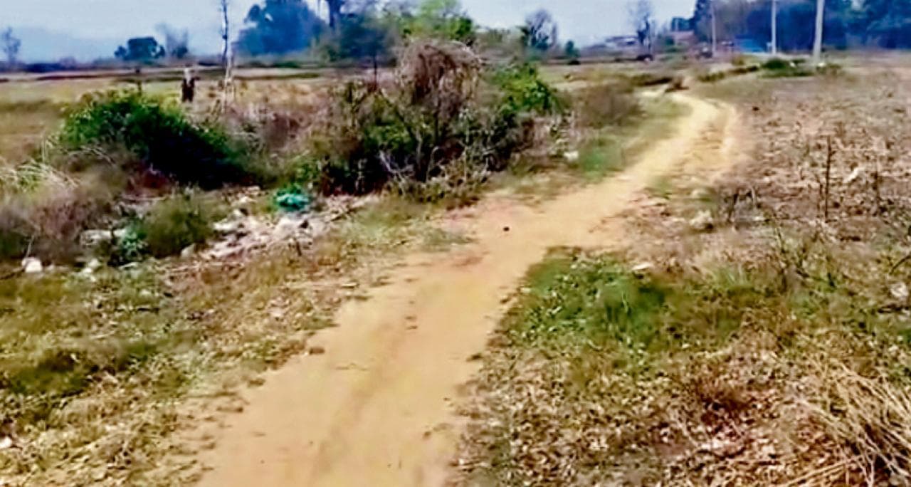 Jamui News: दहियारी के कई गांवों में न सड़क है न बिजली, बटिया स्थित प्रसिद्ध झुमराज मंदिर में श्रद्धालुओं के लिए आज भी सुविधाएं नहीं