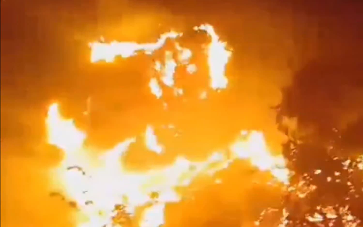 Nainital Fire : उत्तराखंड में जंगल में लगी आग हुई विकराल, नैनीताल में हाईकोर्ट कॉलोनी के पास तक पहुंची लपटें