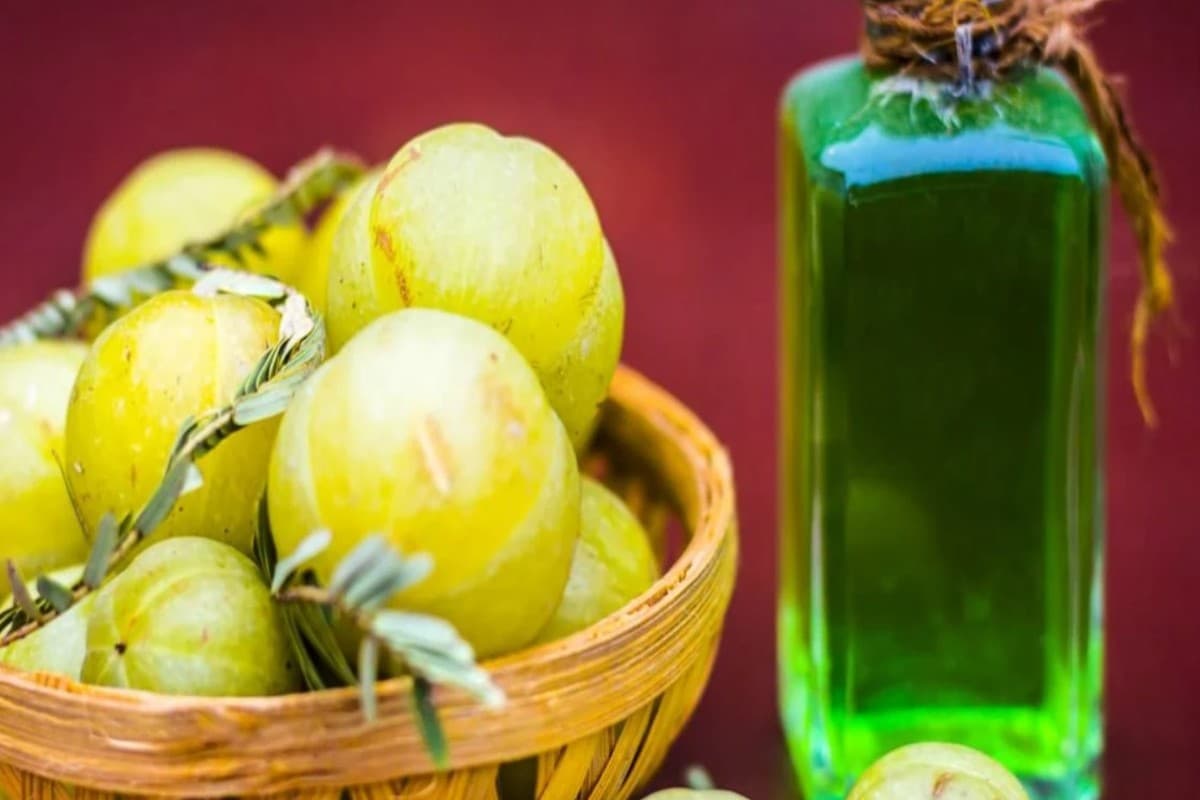 Benefits of Amla Oil for Hair: गर्मी में झड़ने लगे हैं बाल तो लगाएं होममेड आंवला का तेल, इसे बनाना है बेहद आसान, जानें पूरी डिटेल