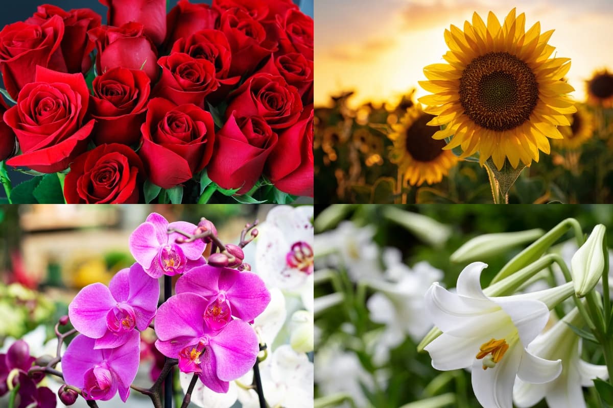 Personality Test: आप के पसंदीदा फूल बताएंगे आप का व्यक्तित्व, अभी लें ये अनोखा टेस्ट