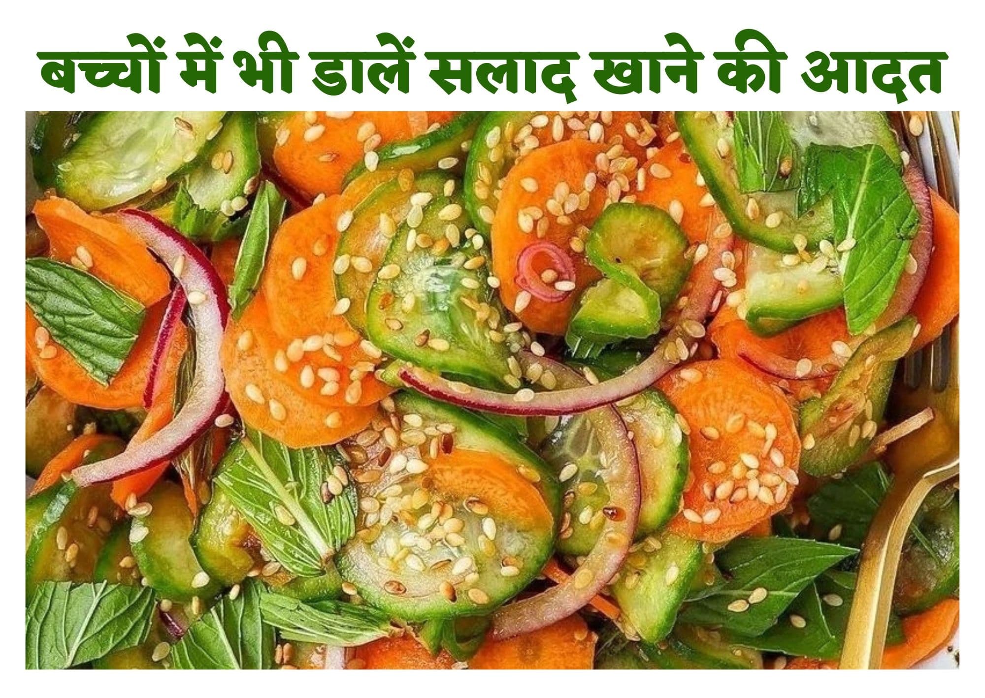 Healthy Foods : क्यों भोजन के साथ सलाद खाना है जरूरी? जानें क्या हैं सलाद खाने के बड़े फायदे