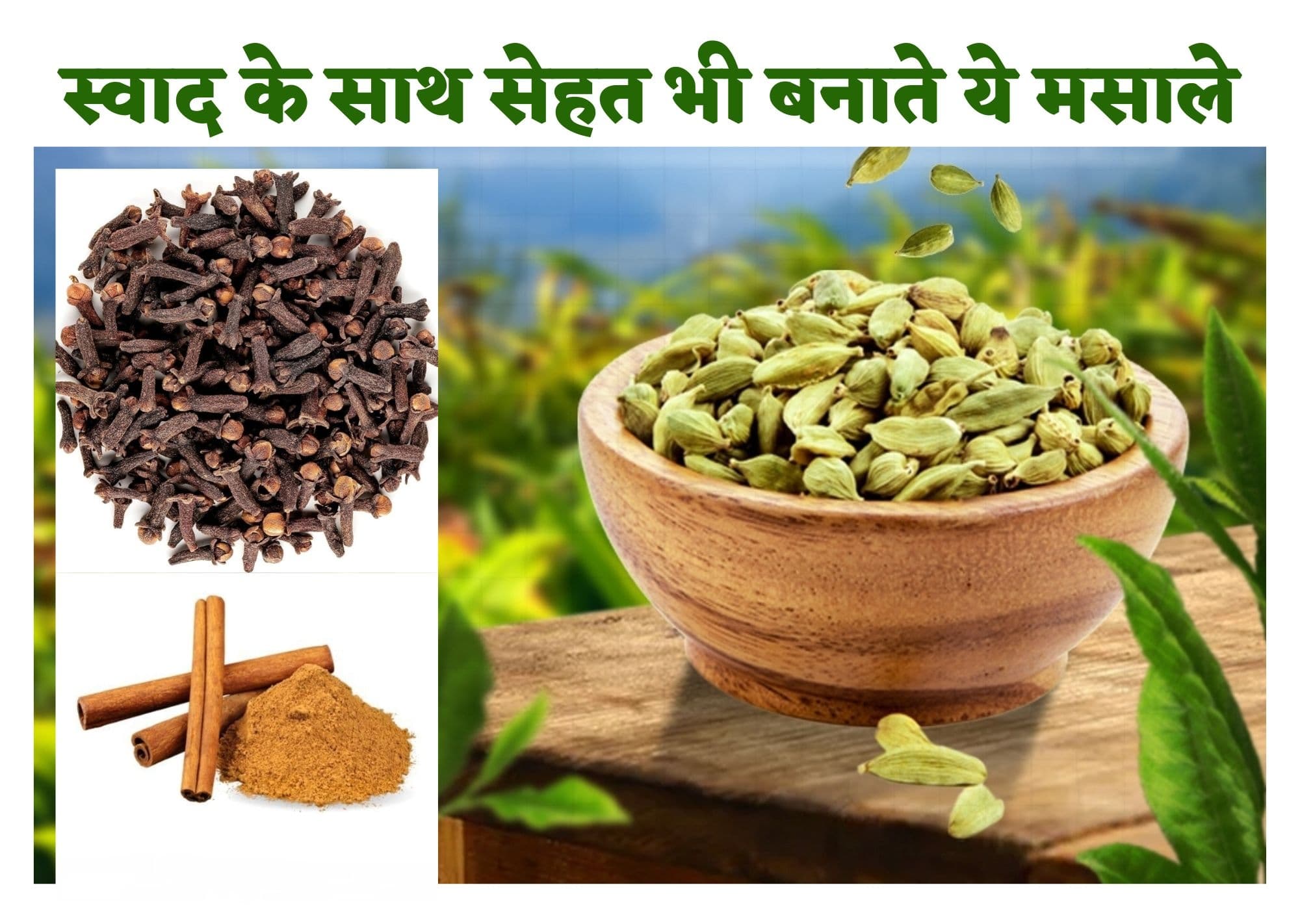 Benefits Of Spices : क्या आपको पता है कि स्वाद ही नहीं, सेहत भी बनाते हैं ये पांच मसाले