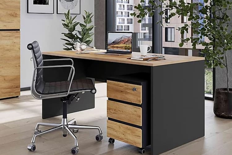 Vastu Tips For Office Desk: अपने ऑफिस डेस्क में रखें ये चीजें, मिलेगी कामयाबी और बरसेगा धन