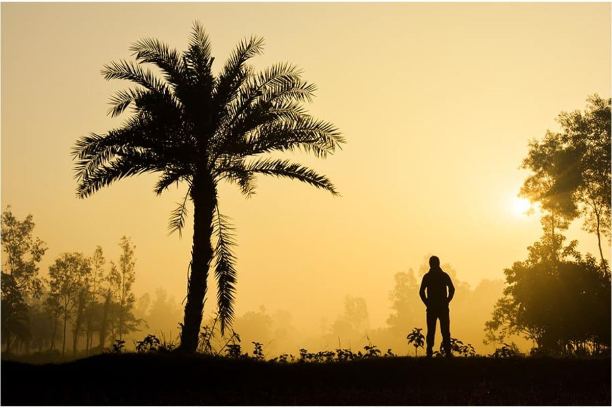 Bengal Weather Forecast : कोलकाता समेत जिलों में लू को लेकर रेड अलर्ट जारी, दक्षिण बंगाल में गर्मी का कहर जारी