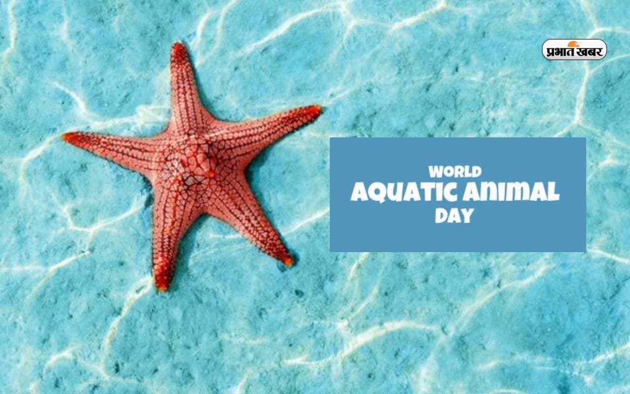 आज है World Aquatic Animal Day 2024, जलीय जंतु का जीवन में महत्व बताता है ये खास दिन