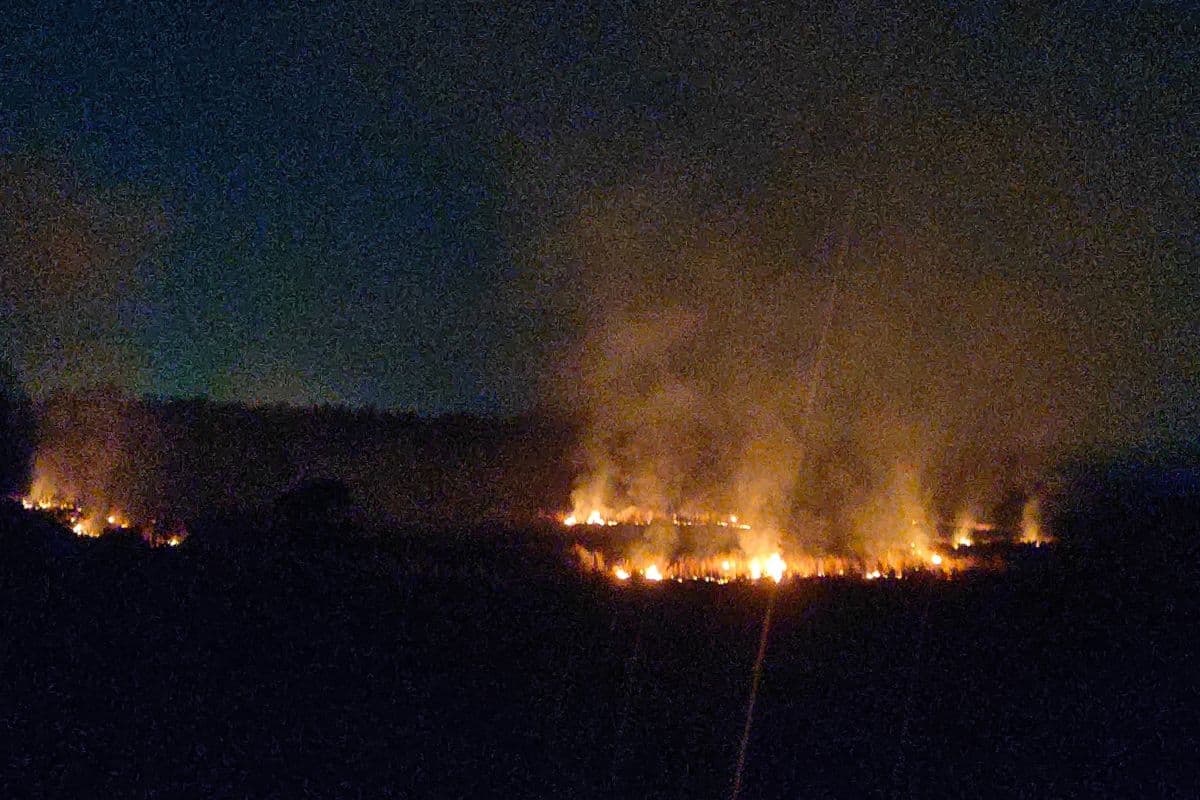 दामोदर (बुढ़ीडीह-वास्तेजी) तट के पास लगी आग