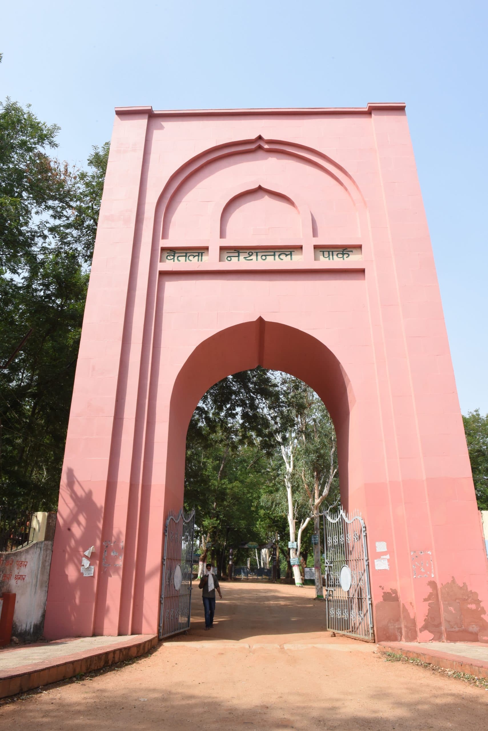 झाड़-फूंक के चक्कर में गयी सर्पदंश पीड़ित की जान