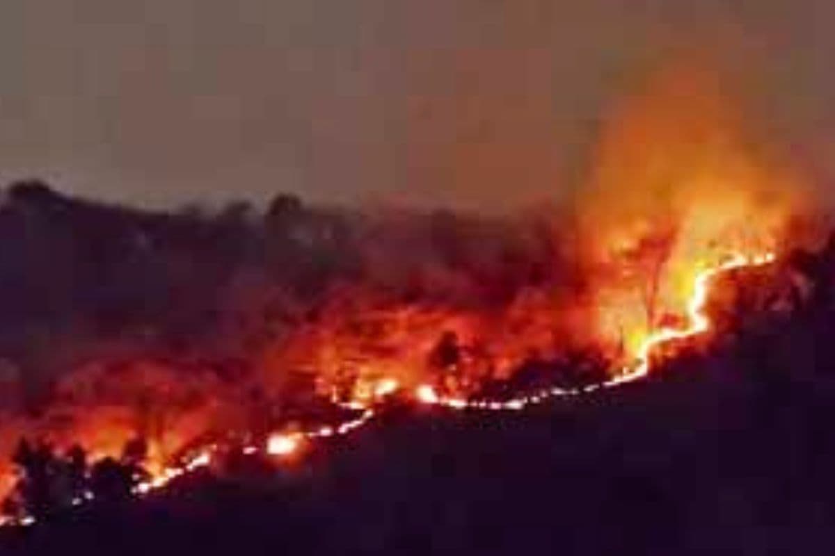 जंगल में लगी आग