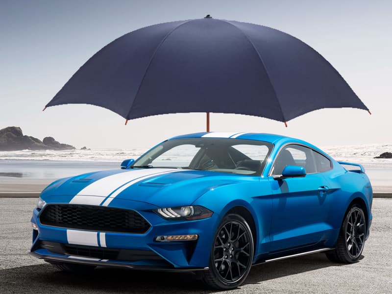 Car Care: गर्मियों में अपनी कार को धूप से बचाएं नहीं तो बन जाएगी खटारा! Car Care: गर्मियों में अपनी कार को धूप से बचाएं नहीं तो बन जाएगी खटारा!