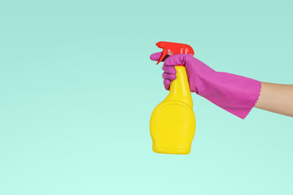 Summer Tips: मच्छरों से पाना चाहते हैं छुटकारा, पोछा लगाते समय पानी में मिलाएं ये चीजें