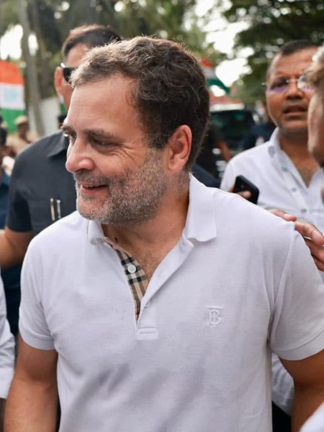 राहुल गांधी भी निकले स्टॉक के खिलाड़ी, इन 5 कंपनियों पर लगाया है पैसा