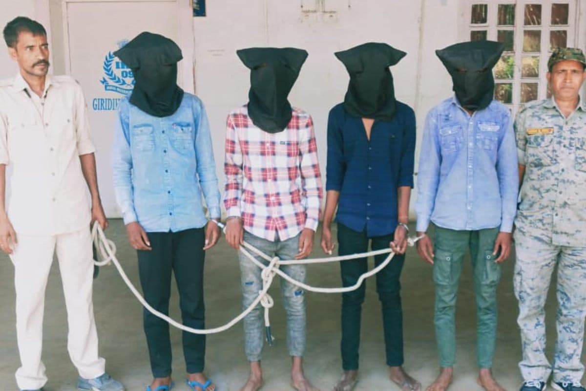 Cyber Crime: झारखंड-बिहार के चार साइबर ठग गिरिडीह से अरेस्ट, मातृत्व लाभ दिलाने के नाम पर गर्भवती महिलाओं से करते थे ठगी