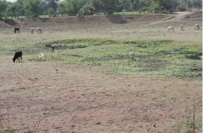 Bihar: अप्रैल में ही सूखने लगे नदी पोखर, कई जिलों में दस फुट तक नीचे गिरा भूमिगत जलस्तर
