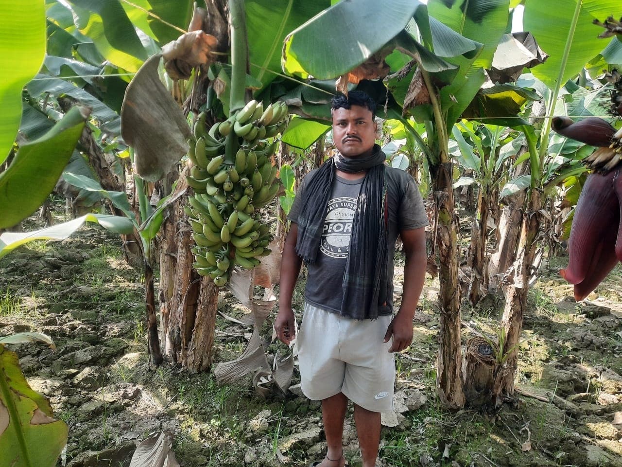 सात कट्ठा खेती और 70 हजार की आमदनी