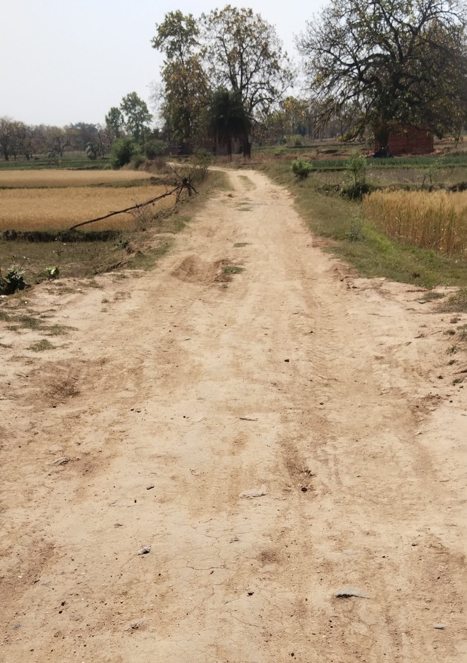 चंदिया-कसियाडीह पगडंडी पथ को बनायेंगे चुनावी मुद्दा