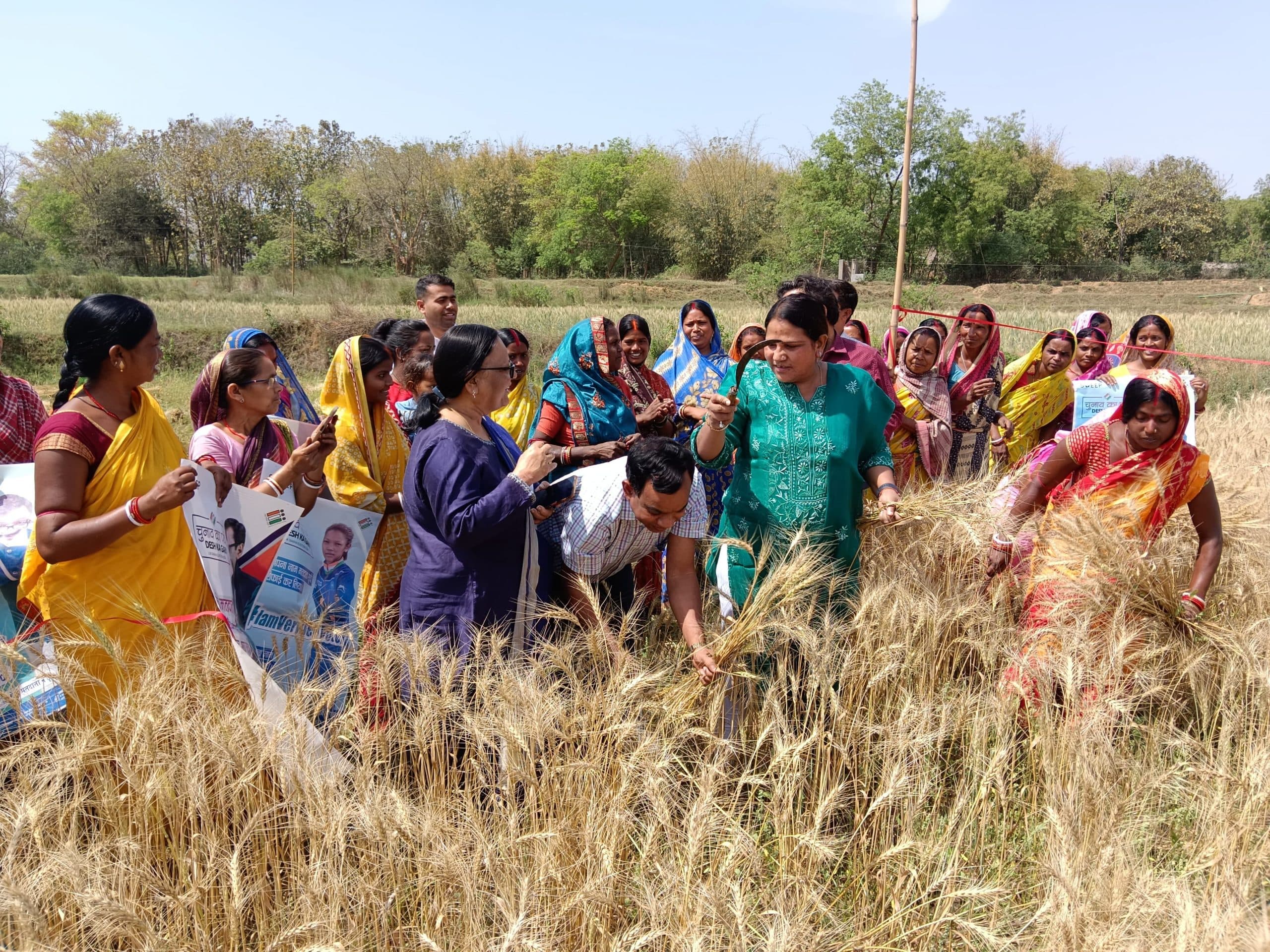 डीसी ने महिलाओं संग खेत में की गेंहू की कटाई, वोट के महत्व को समझाया