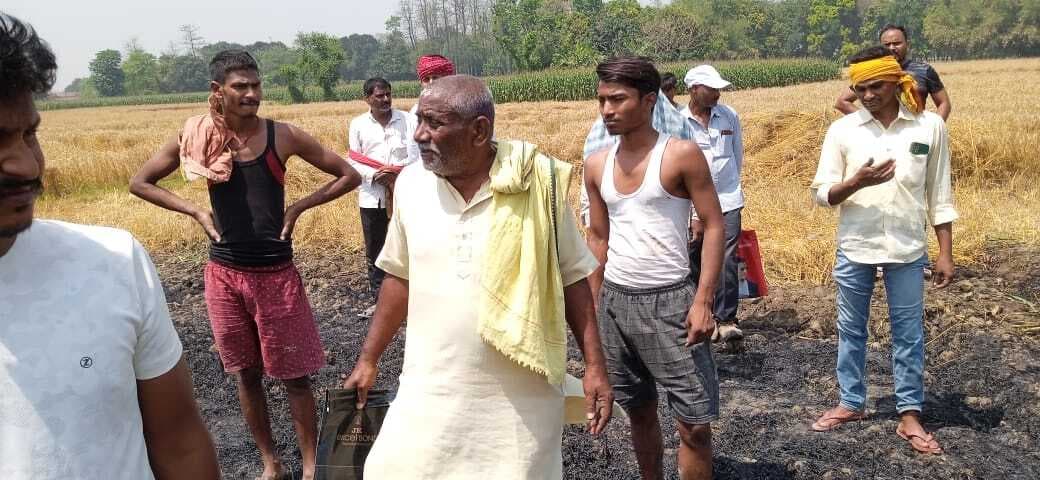 एक बीघा खेत में लगी गेहूं की फसल जल कर राख