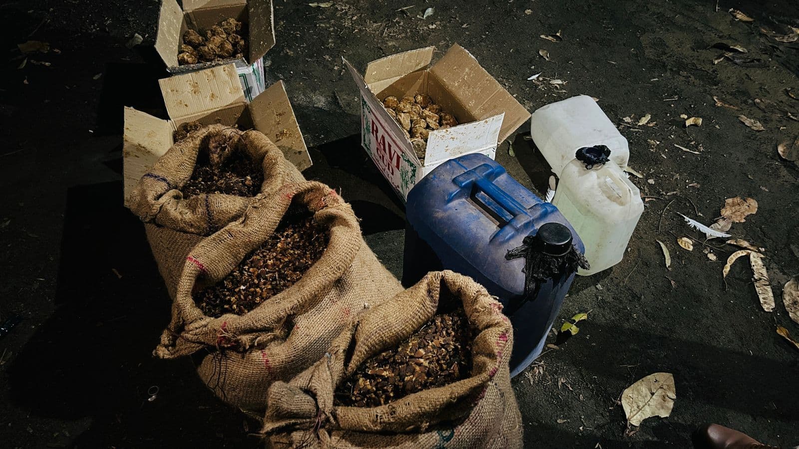 छापेमारी में 50 लीटर महुआ शराब जब्त