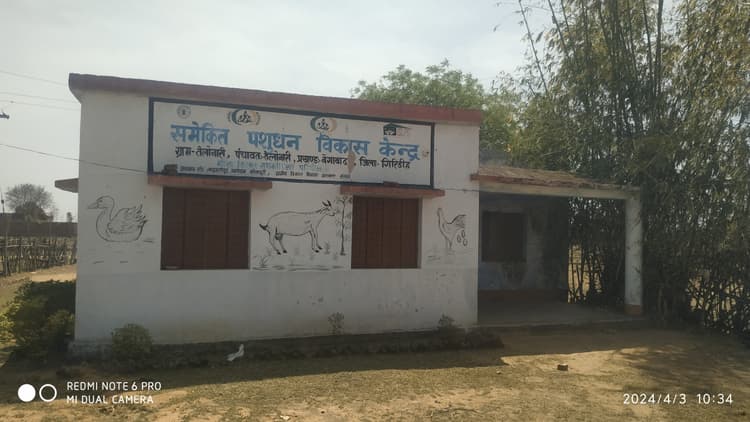 समेकित पशुधन विकास केंद्र नहीं बदली महिलाओं की आर्थिक स्थिति