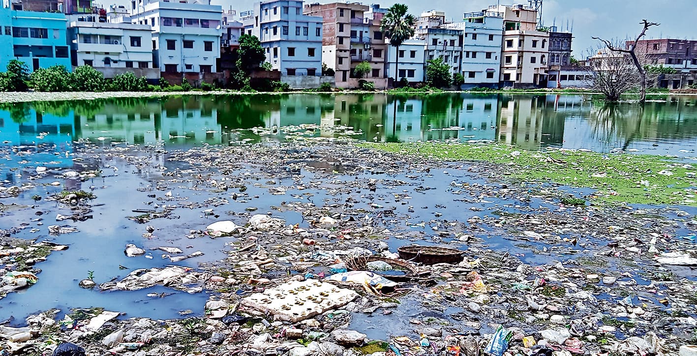 सालों से खाली जमीनों में जमा है पानी, पनप रहे जहरीले मच्छर