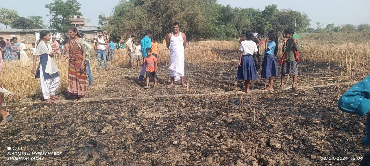 12 कठ्टा में लगी गेहूं की फसल जल कर राख