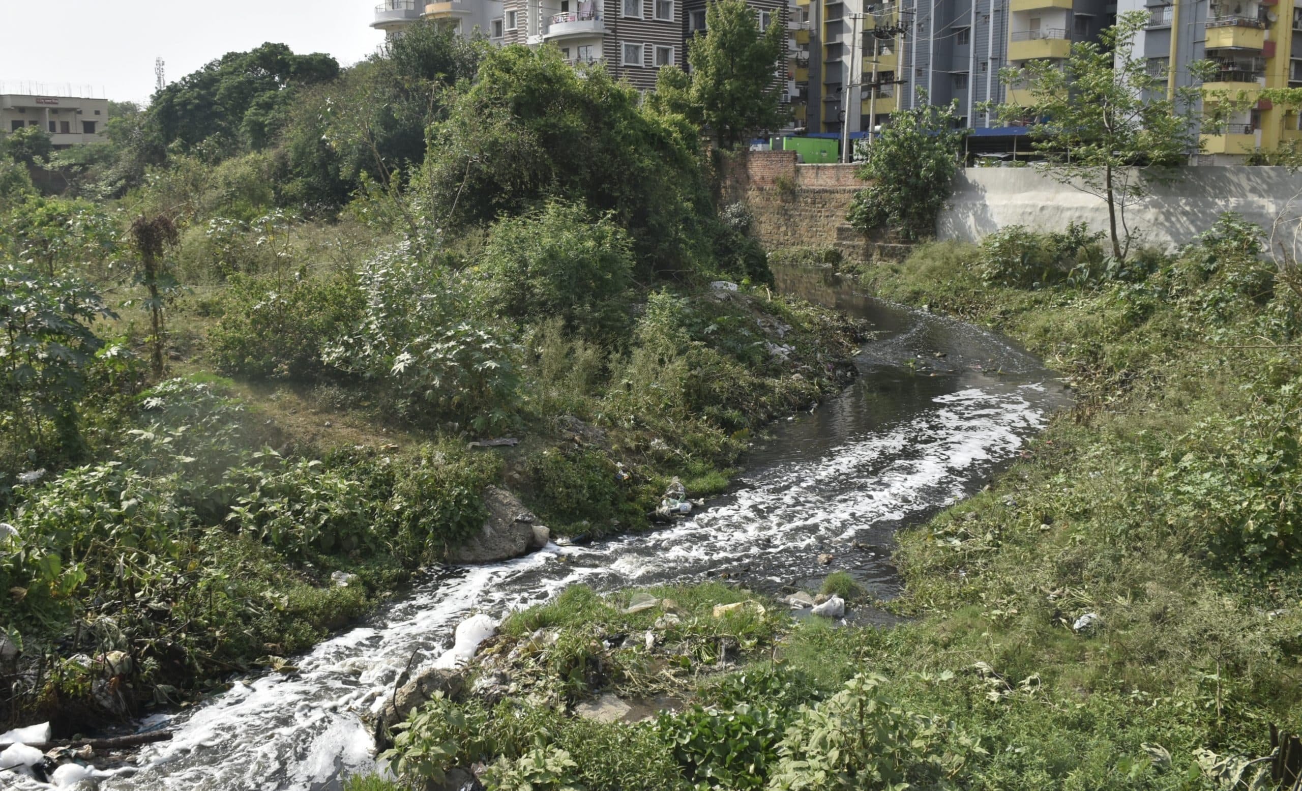 कभी कल-कल बहता था पानी, आज दुर्गंध से जीना दूभर