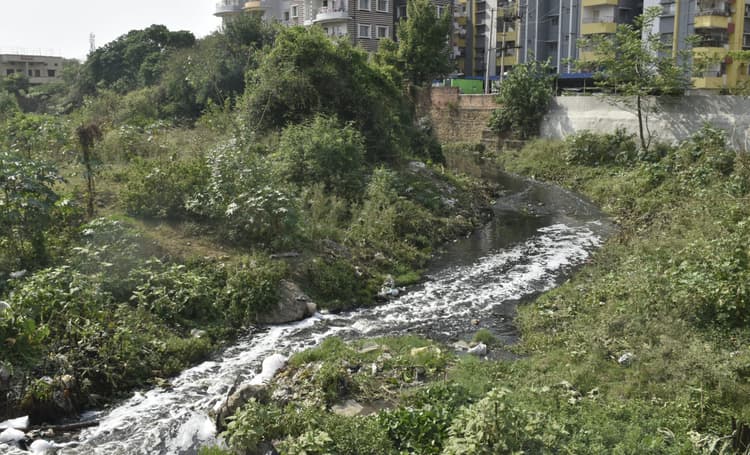 कभी कल-कल बहता था पानी, आज दुर्गंध से जीना दूभर