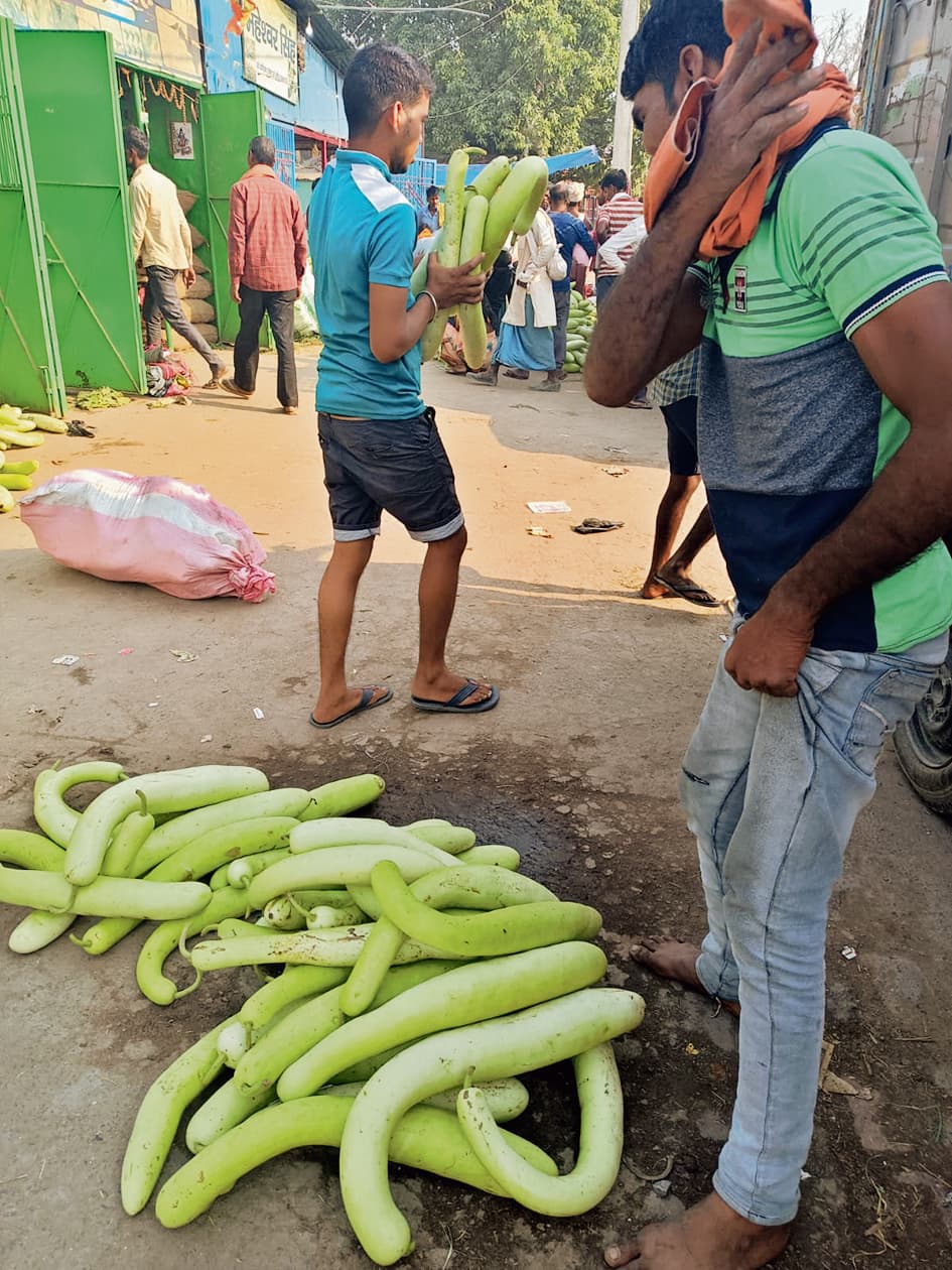 सूर्योपासना : नहाय-खाय आज, छठव्रती बनायेंगे कद्दू-भात का प्रसाद