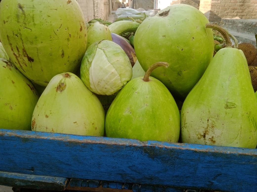 चार दिवसीय चैती छठ महापर्व की तैयारी शुरू, नहाय-खाय आज