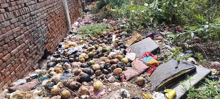 एएनएमएमसीएच में मच्छरों ने बढ़ाया मरीजों का मर्ज