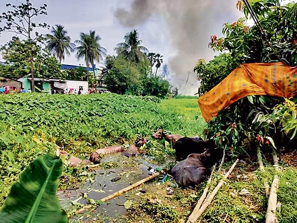 सैकड़ों परिवार हुए बेघर, दर्जनों पशु भी जलकर मरे