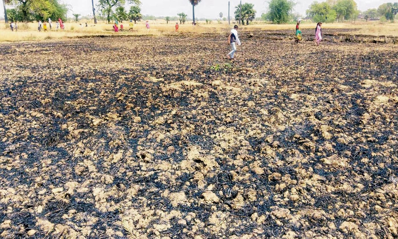 शॉर्ट सर्किट से गेहूं की फसल में लगी आग, दो बीघा में लगी गेहूं की फसल जली