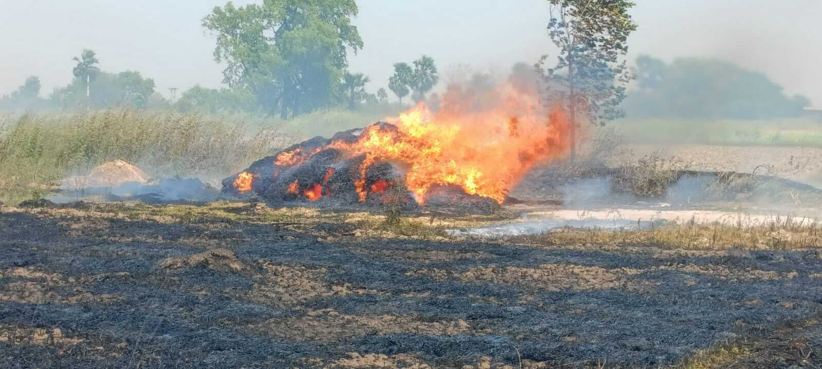 पांच जगहों पर लगी आग, किसानों को भारी नुकसान