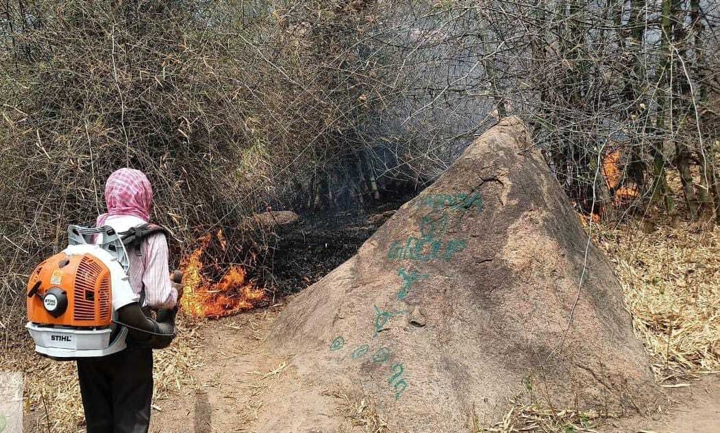 वन विभाग की टीम ने बुझायी गुमरो पहाड़ में लगी आग