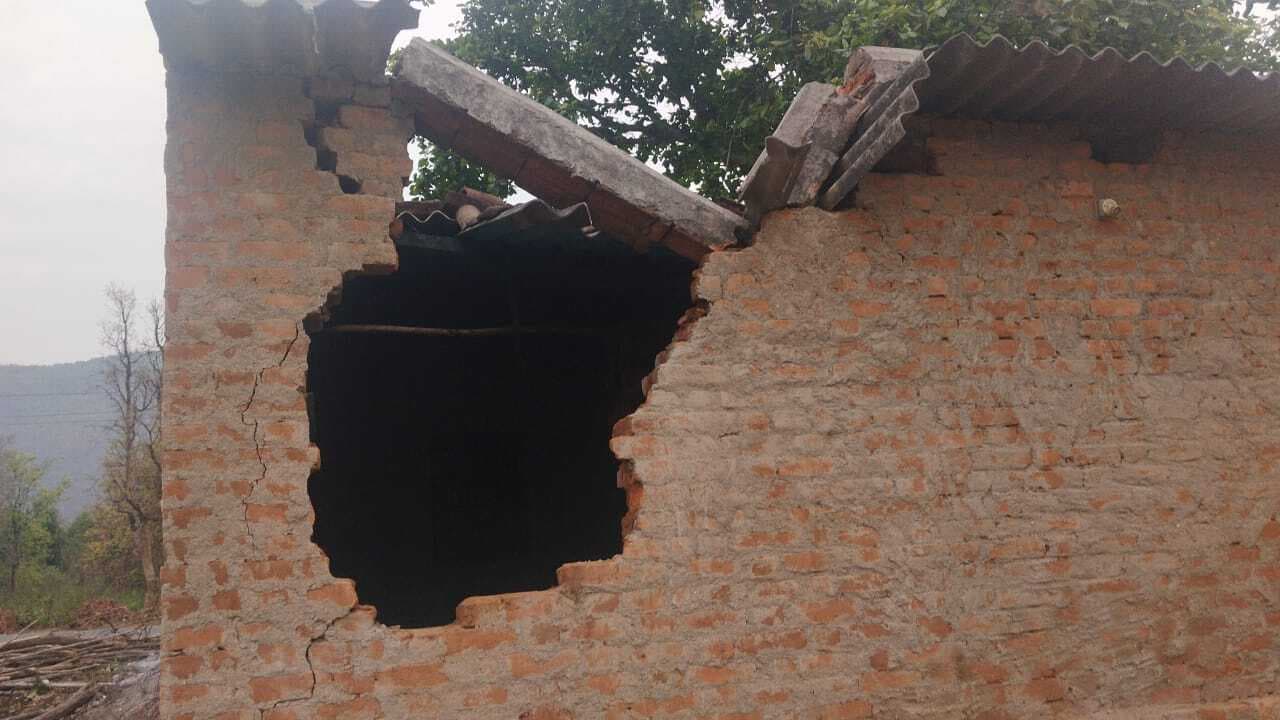 42 हाथियों ने महुआटांड़ क्षेत्र के गांवों में मचाया उत्पात