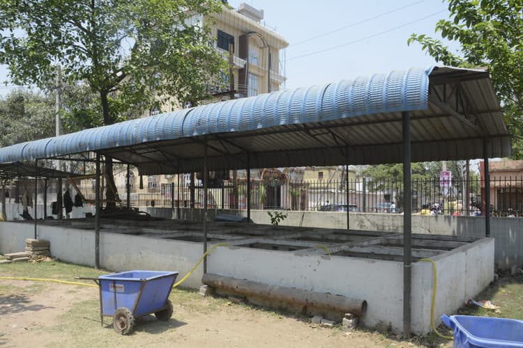 पेड़-पौधों में जान फूंक रही वर्मी कंपोस्ट यूनिट